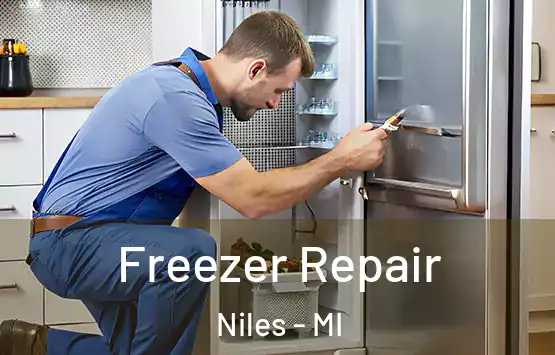  Freezer Repair Niles - MI