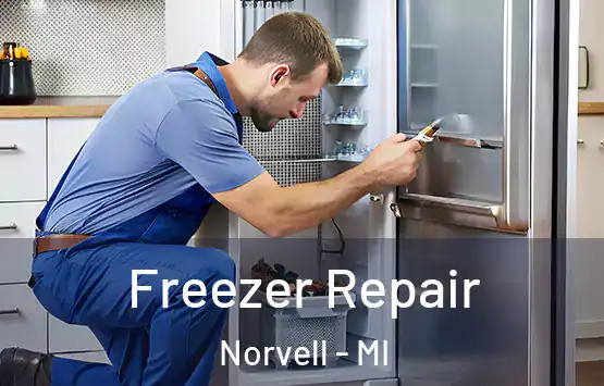  Freezer Repair Norvell - MI
