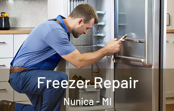  Freezer Repair Nunica - MI