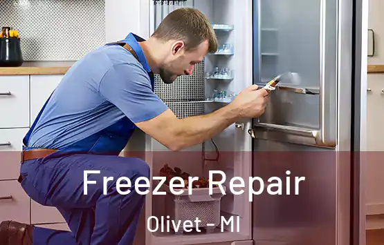  Freezer Repair Olivet - MI