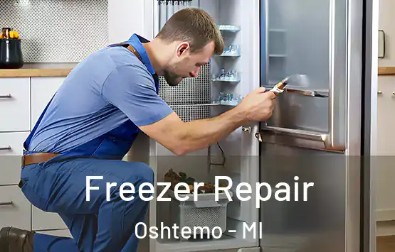  Freezer Repair Oshtemo - MI