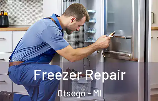  Freezer Repair Otsego - MI