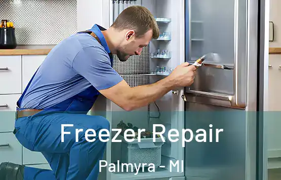  Freezer Repair Palmyra - MI