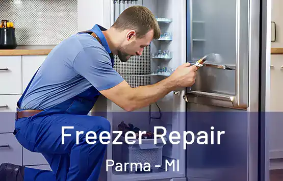  Freezer Repair Parma - MI