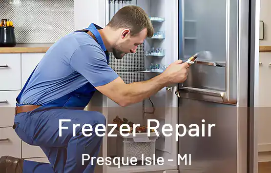  Freezer Repair Presque Isle - MI
