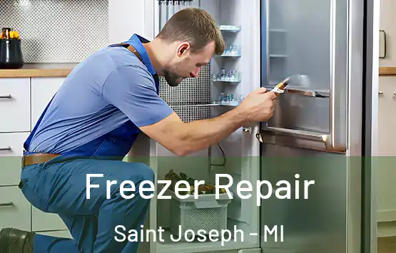  Freezer Repair Saint Joseph - MI