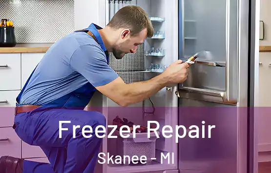  Freezer Repair Skanee - MI