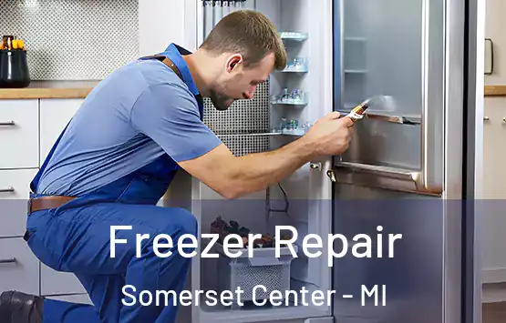  Freezer Repair Somerset Center - MI