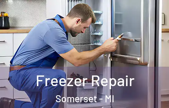  Freezer Repair Somerset - MI