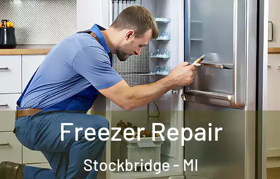  Freezer Repair Stockbridge - MI
