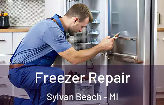  Freezer Repair Sylvan Beach - MI