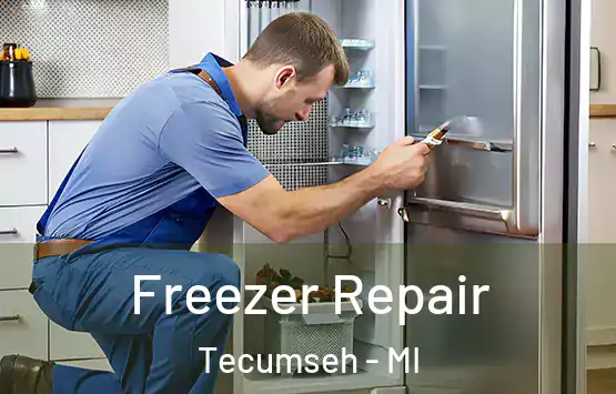  Freezer Repair Tecumseh - MI