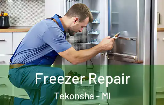  Freezer Repair Tekonsha - MI