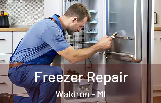  Freezer Repair Waldron - MI