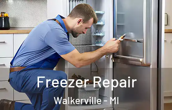  Freezer Repair Walkerville - MI