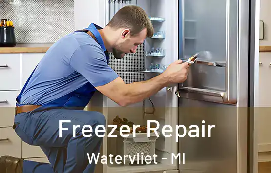  Freezer Repair Watervliet - MI