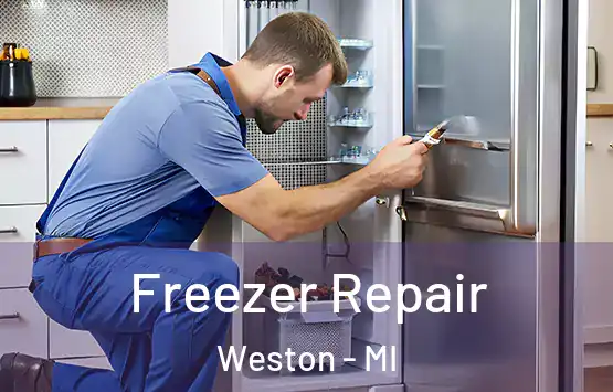  Freezer Repair Weston - MI