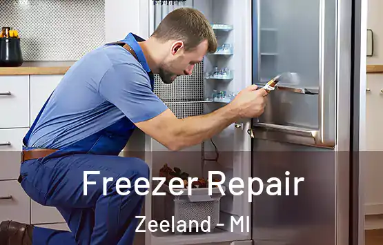  Freezer Repair Zeeland - MI