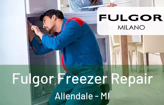  Fulgor Freezer Repair Allendale - MI