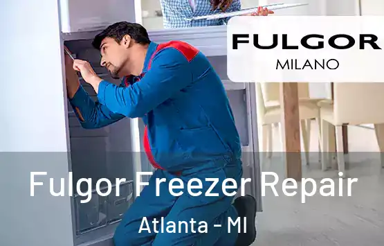  Fulgor Freezer Repair Atlanta - MI