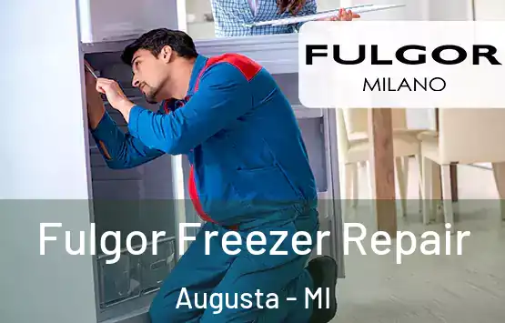  Fulgor Freezer Repair Augusta - MI