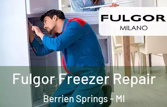  Fulgor Freezer Repair Berrien Springs - MI