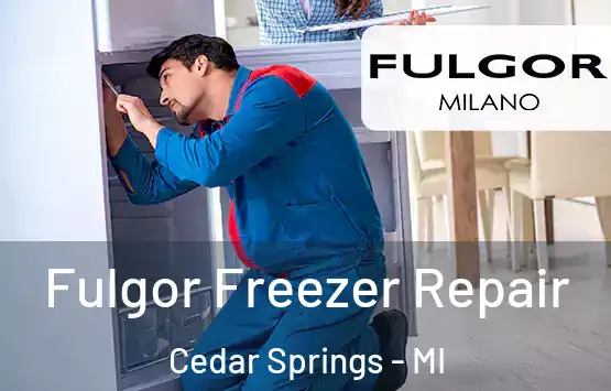 Fulgor Freezer Repair Cedar Springs - MI