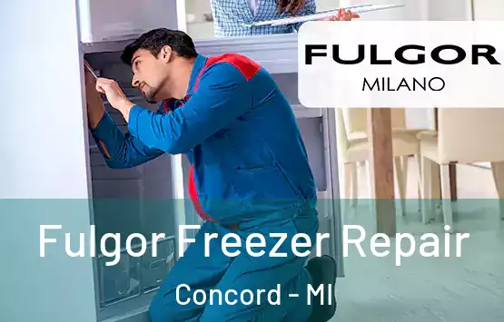  Fulgor Freezer Repair Concord - MI
