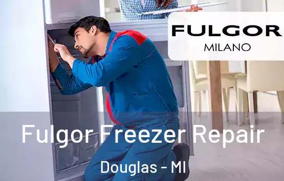  Fulgor Freezer Repair Douglas - MI