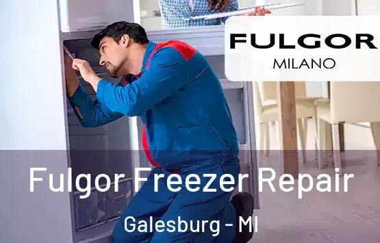  Fulgor Freezer Repair Galesburg - MI