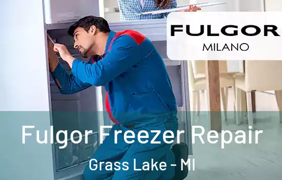  Fulgor Freezer Repair Grass Lake - MI