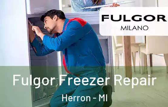  Fulgor Freezer Repair Herron - MI