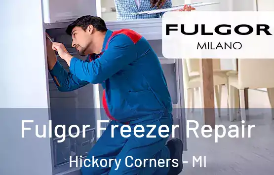  Fulgor Freezer Repair Hickory Corners - MI