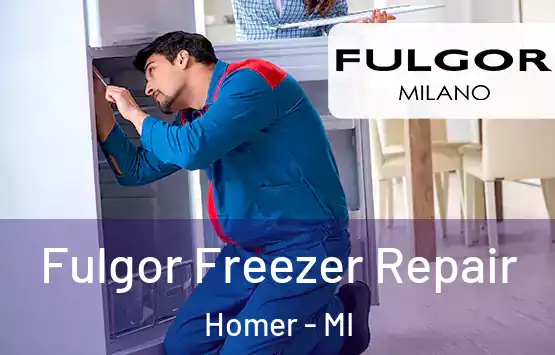  Fulgor Freezer Repair Homer - MI