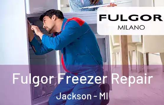  Fulgor Freezer Repair Jackson - MI