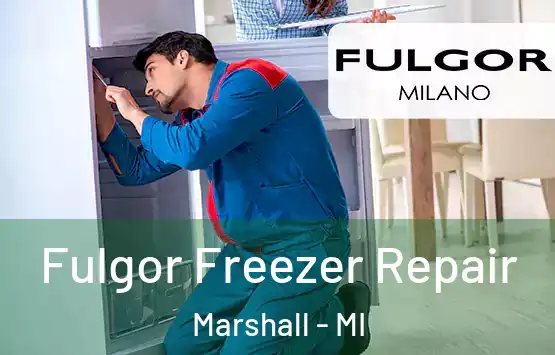  Fulgor Freezer Repair Marshall - MI