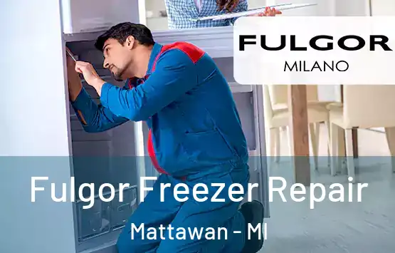  Fulgor Freezer Repair Mattawan - MI
