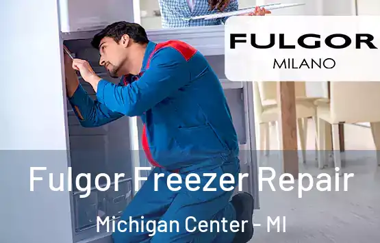  Fulgor Freezer Repair Michigan Center - MI