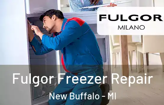  Fulgor Freezer Repair New Buffalo - MI