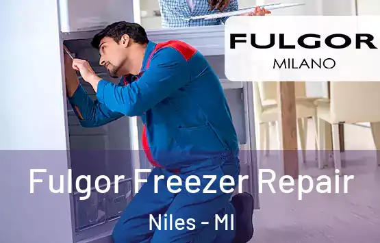  Fulgor Freezer Repair Niles - MI