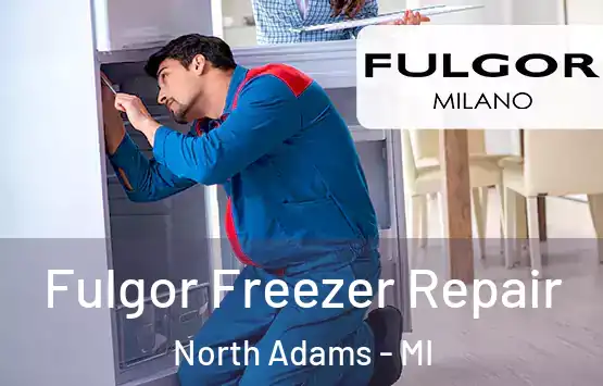  Fulgor Freezer Repair North Adams - MI