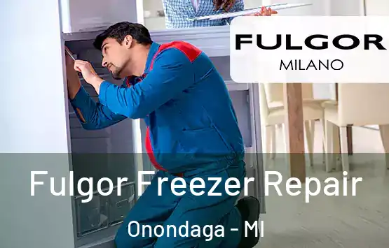  Fulgor Freezer Repair Onondaga - MI