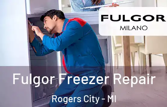  Fulgor Freezer Repair Rogers City - MI