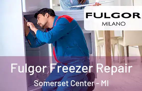  Fulgor Freezer Repair Somerset Center - MI