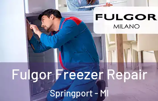  Fulgor Freezer Repair Springport - MI