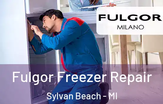  Fulgor Freezer Repair Sylvan Beach - MI