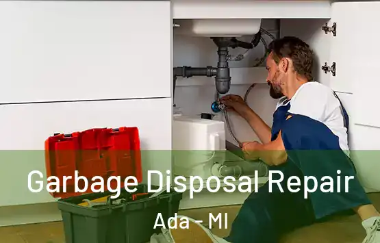  Garbage Disposal Repair Ada - MI