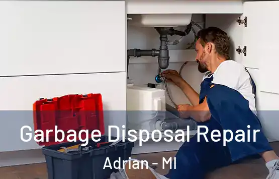  Garbage Disposal Repair Adrian - MI
