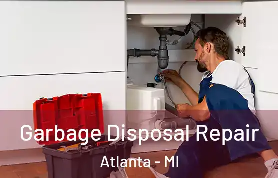  Garbage Disposal Repair Atlanta - MI