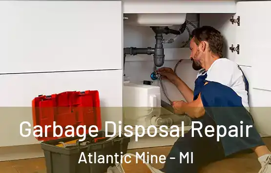  Garbage Disposal Repair Atlantic Mine - MI